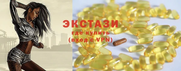 индика Дмитров