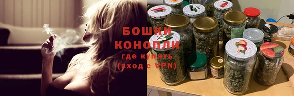 индика Дмитров