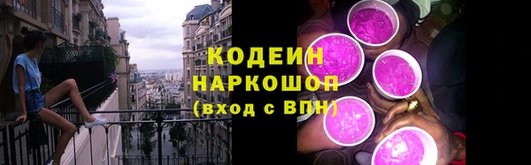 прущий лед Дмитровск