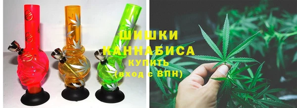 индика Дмитров