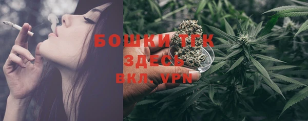 молекула духа Дмитриев