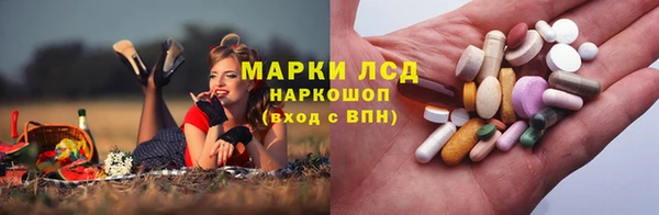 2c-b Ельня