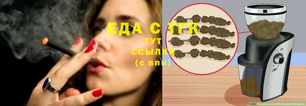 индика Дмитров