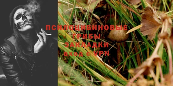 прущий лед Дмитровск