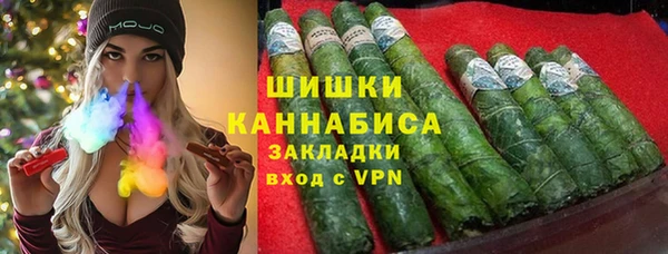 индика Дмитров