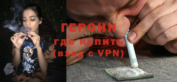 индика Дмитров