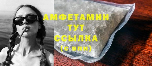 индика Дмитров