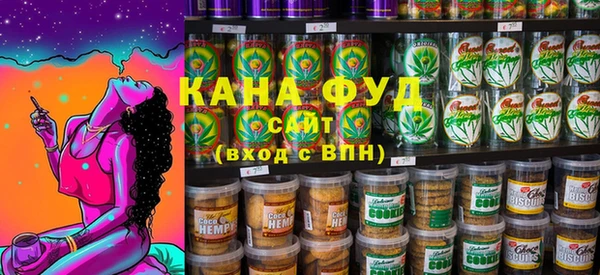 индика Дмитров