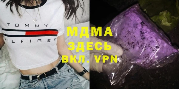 индика Дмитров