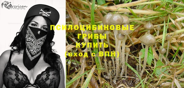 молекула духа Дмитриев