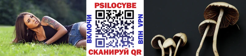 Купить закладки  Теберда  Галлюциногенные грибы Cubensis 